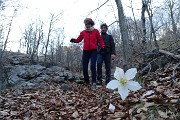 Sul CORNO ZUCCONE, guardiano della Val Taleggio, il 1 marzo 2016 - FOTOGALLERY
